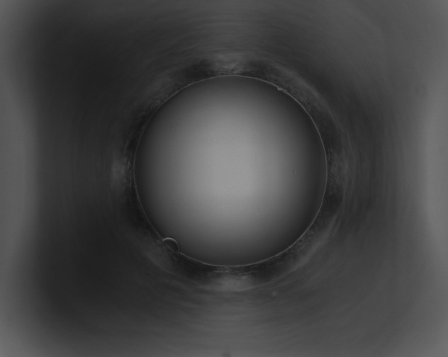 X0000100900601200806241254