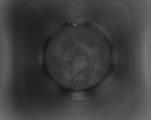 X0000100900604200806241254