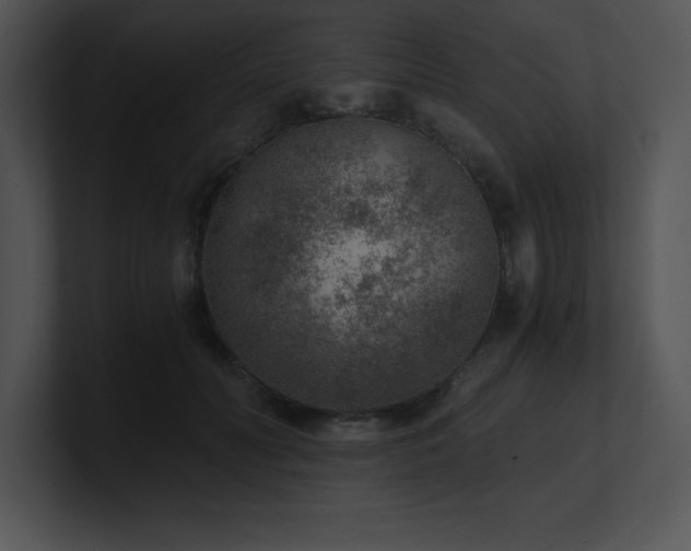 X0000100900606200806241254
