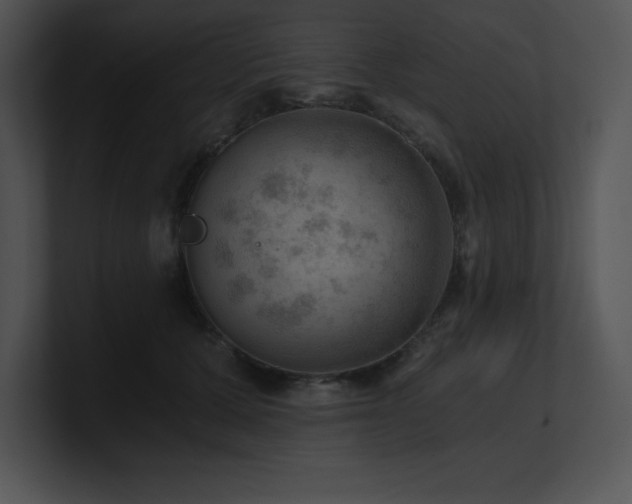 X0000100900607200806241254