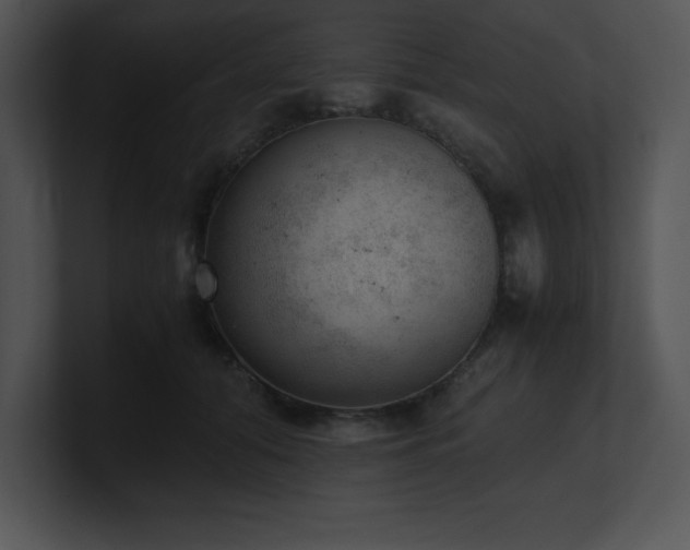 X0000100900608200806241254
