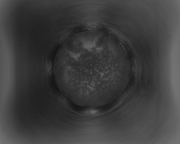 X0000100900610200806241254
