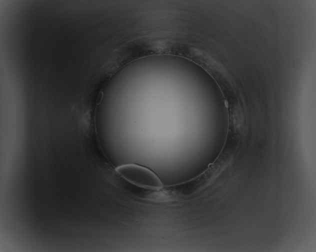 X0000100900611200806241254