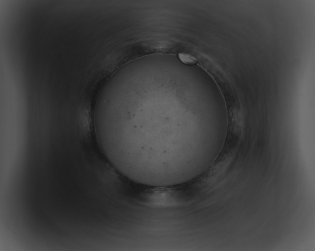 X0000100900612200806241254