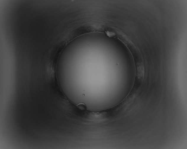 X0000100900613200806241254