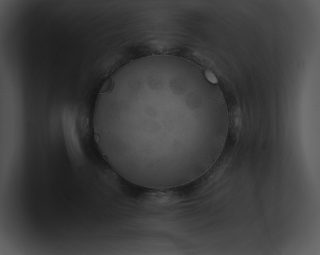 X0000100900615200806241254