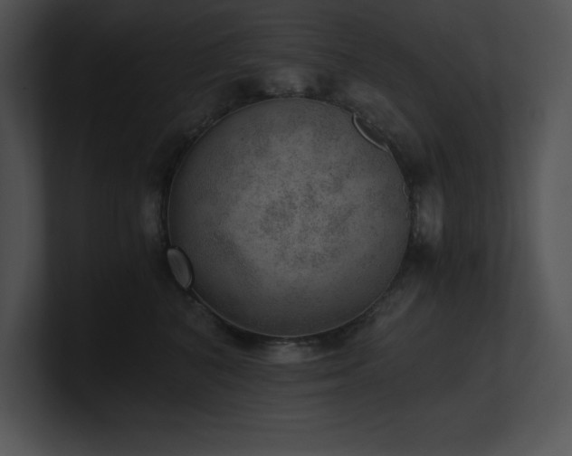 X0000100900616200806241253