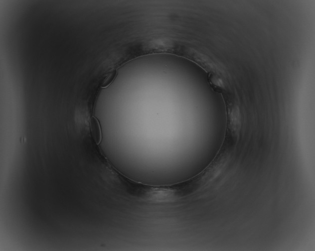 X0000100900617200806241253
