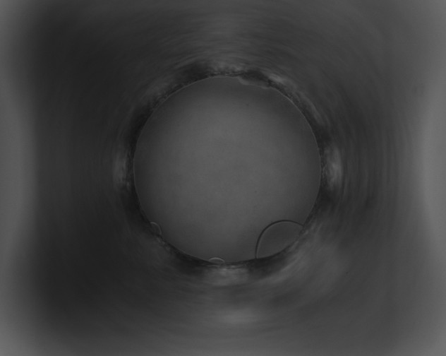 X0000100900619200806241253