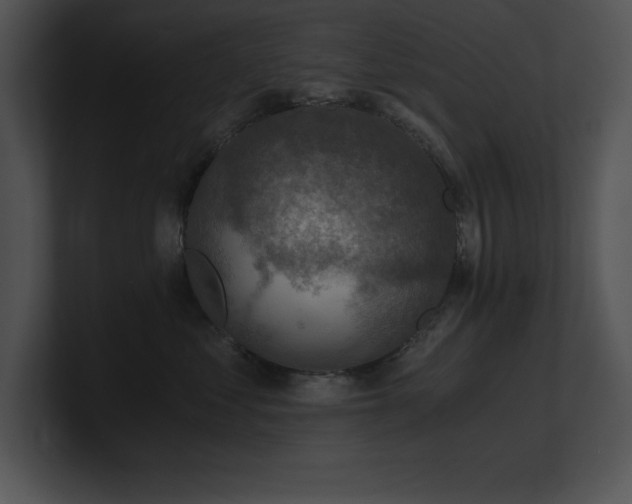 X0000100900621200806241253