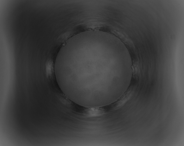 X0000100900623200806241253