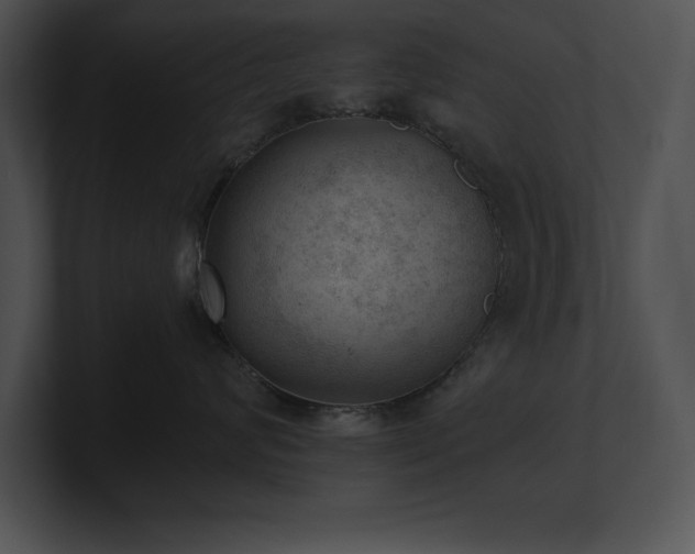 X0000100900624200806241253