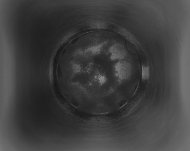 X0000100900627200806241253