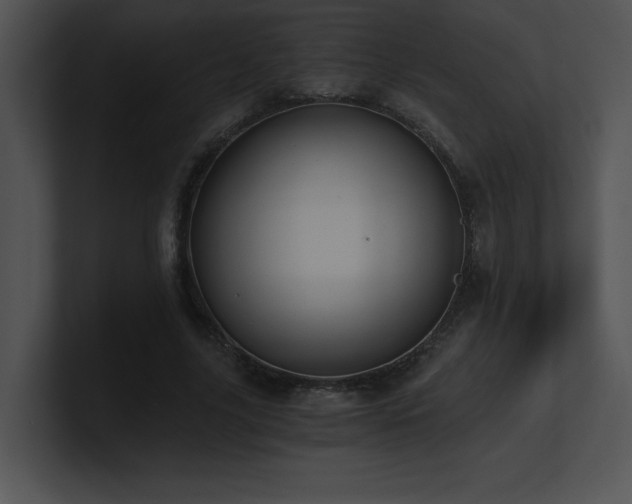 X0000100900635200806241253