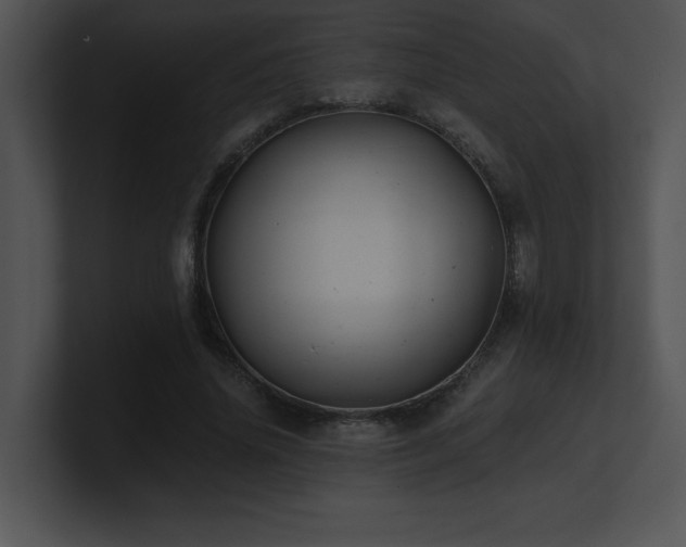 X0000100900636200806241253