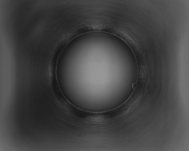 X0000100900639200806241253