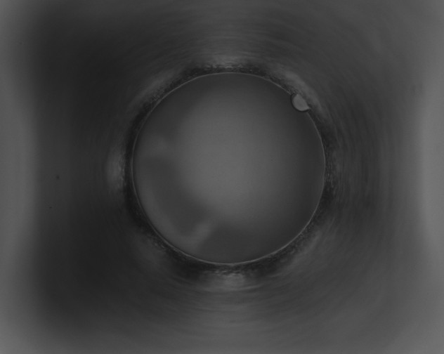 X0000100900640200806241253