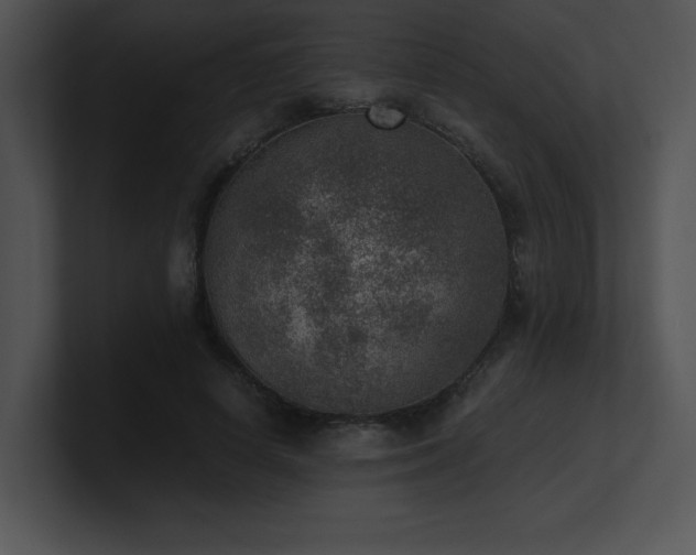 X0000100900642200806241253