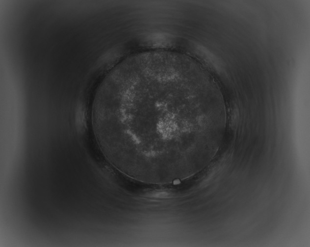 X0000100900643200806241253