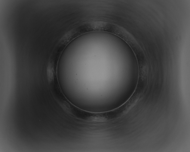X0000100900644200806241253