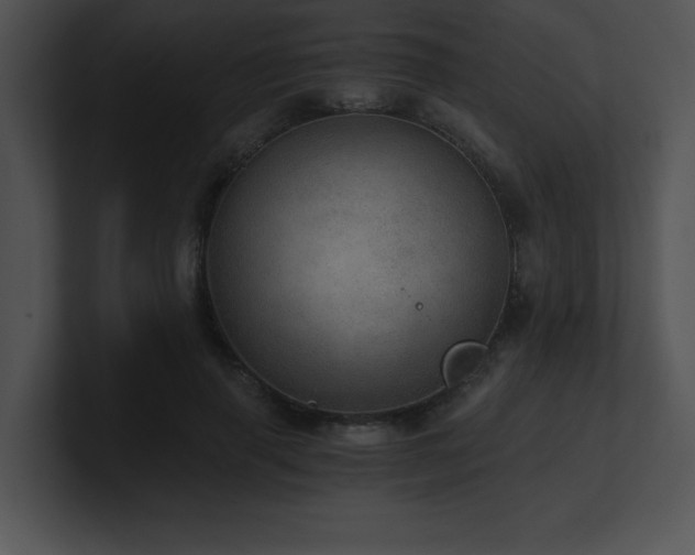 X0000100900645200806241253