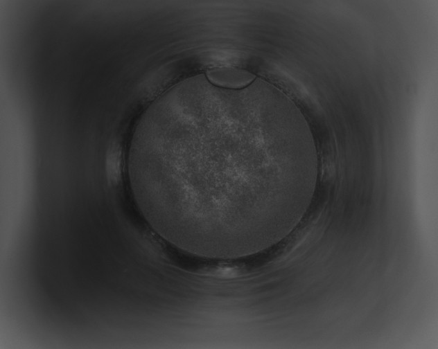 X0000100900647200806241253