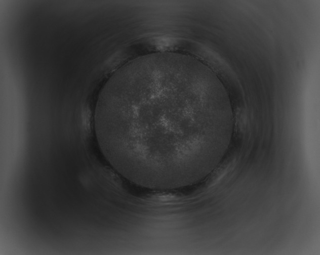 X0000100900650200806241253