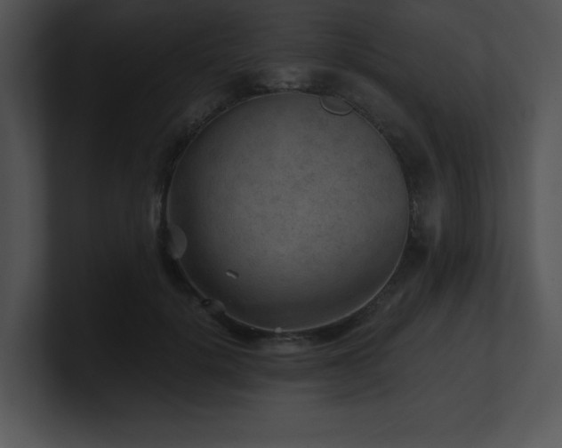 X0000100900652200806241253