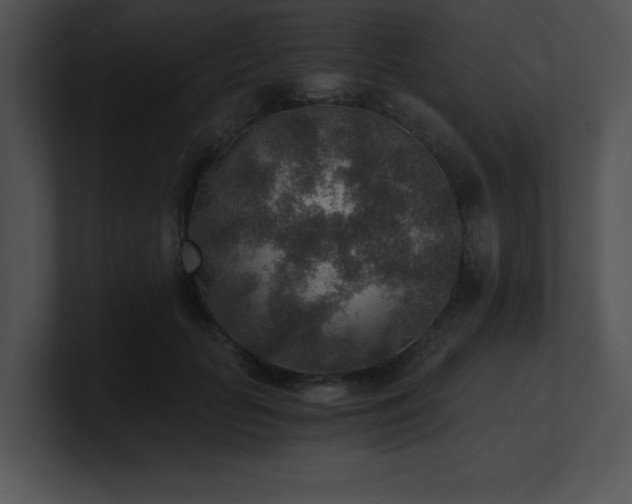 X0000100900653200806241253