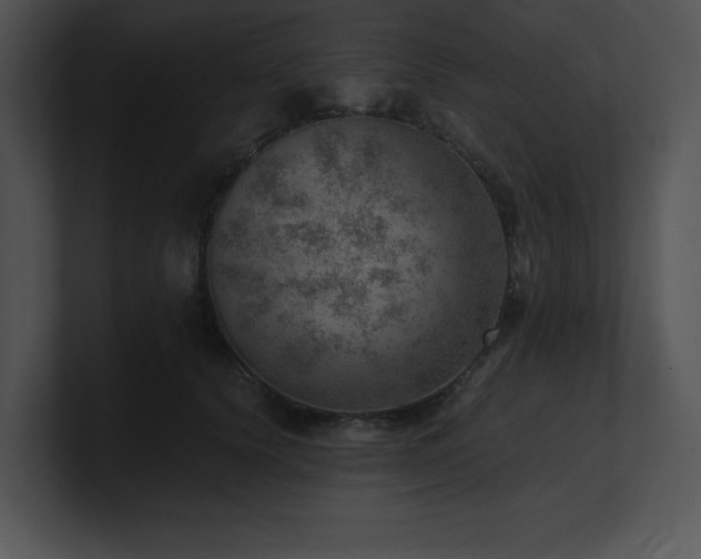 X0000100900656200806241253