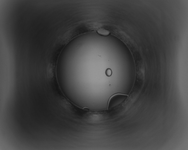 X0000100900658200806241253