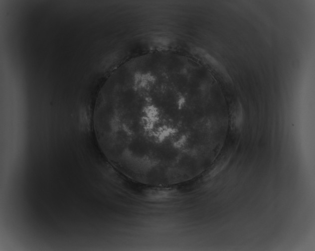X0000100900661200806241253