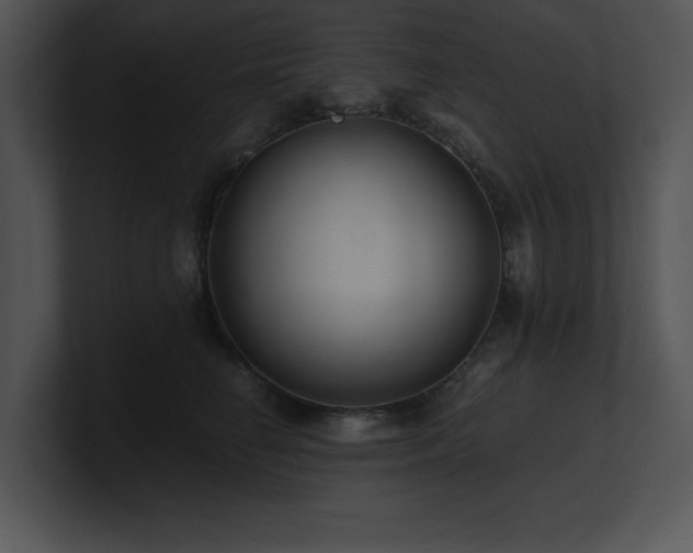 X0000100900662200806241253