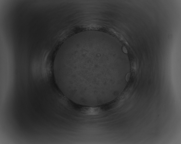 X0000100900663200806241253