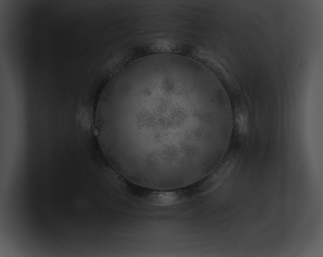 X0000100900665200806241253