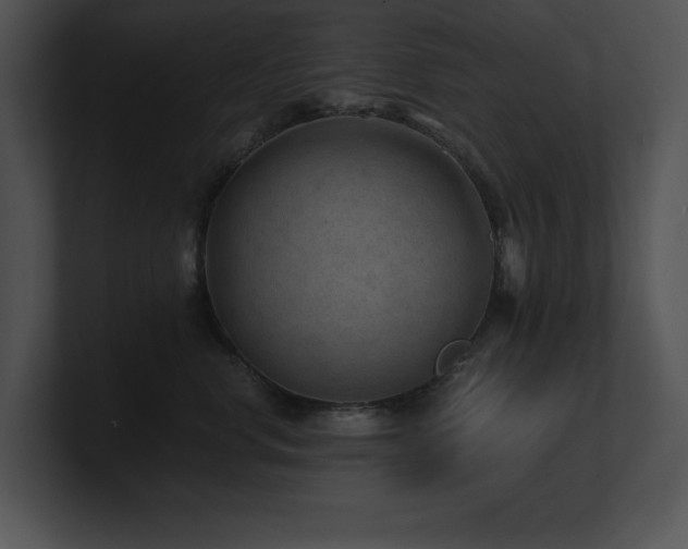 X0000100900668200806241253