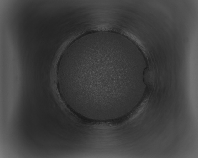 X0000100900673200806241253