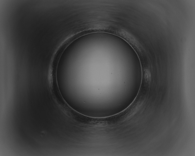 X0000100900676200806241253