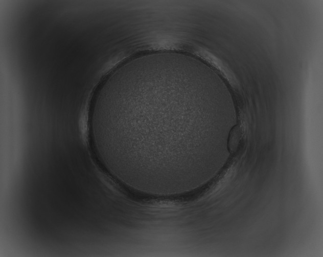 X0000100900677200806241253
