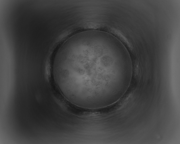 X0000100900683200806241252