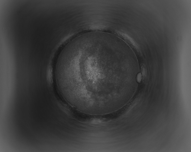 X0000100900684200806241252