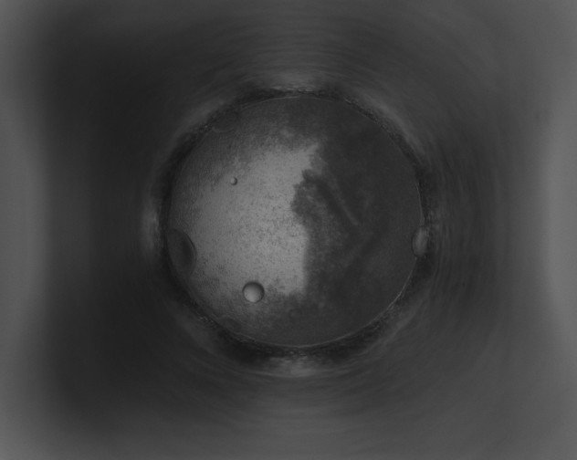 X0000100900688200806241252