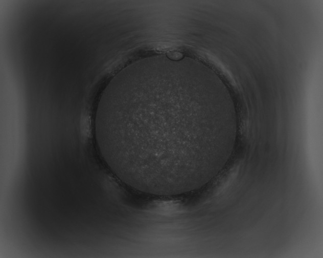 X0000100900689200806241252