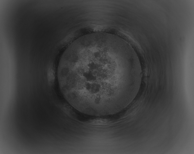 X0000100900691200806241252