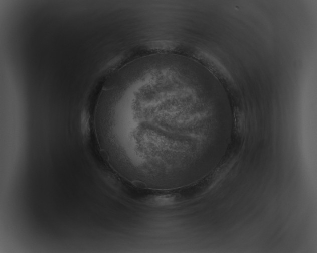 X0000100900692200806241252