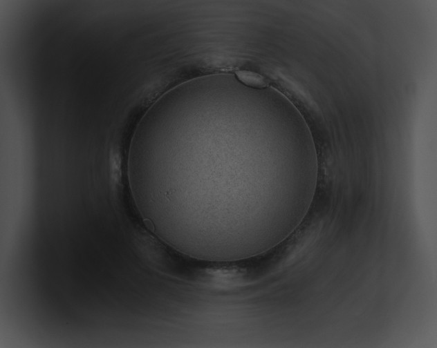 X0000100900693200806241252