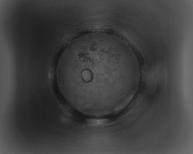 X0000100900695200806241252