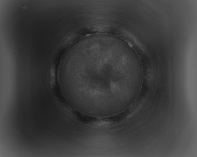 X0000100900696200806241252