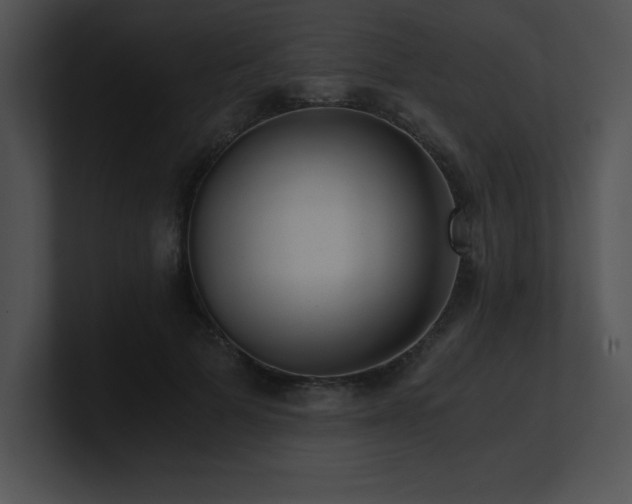 X0000100900697200806241252