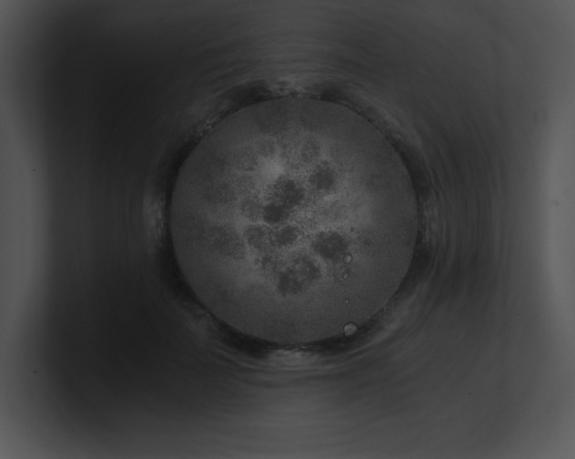 X0000100900699200806241252